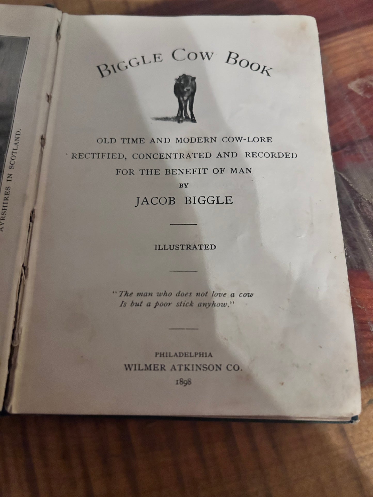 Biggle Cow Book