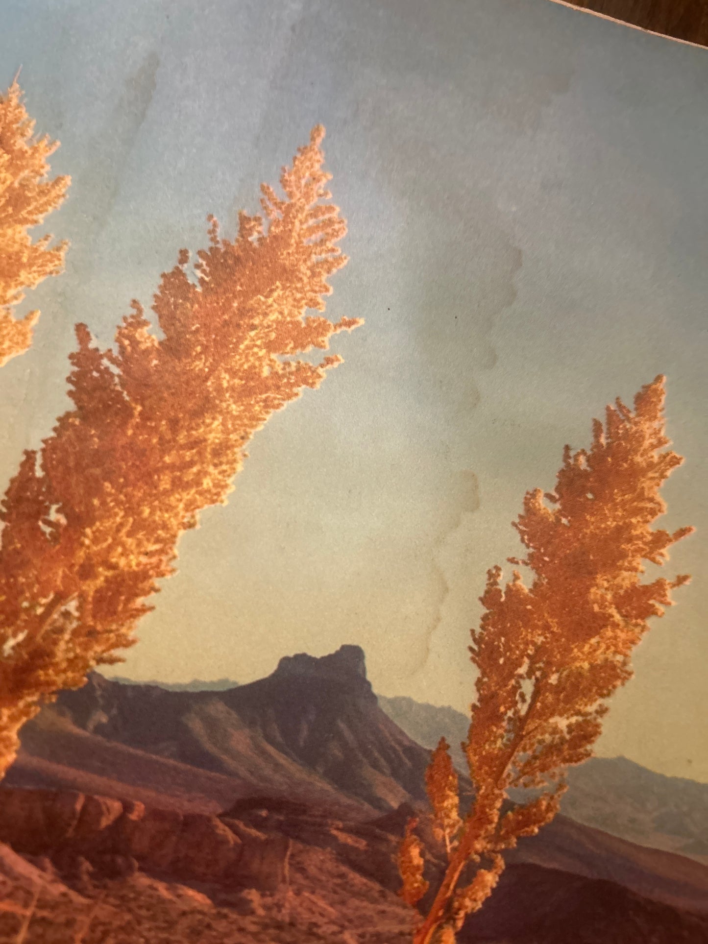 Vintage Arizona Highways January 1954