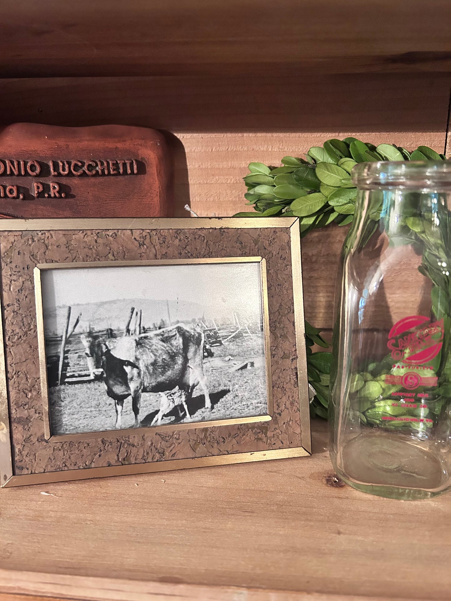 Vintage Framed cow nursing fawn