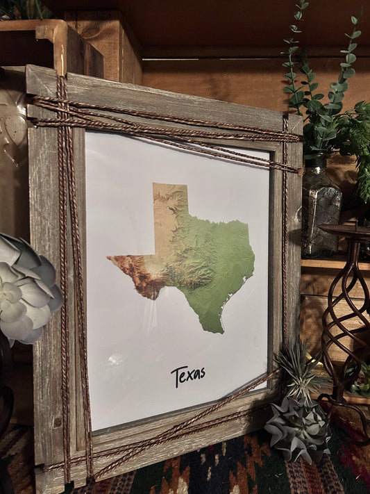 Texas Framed Picture