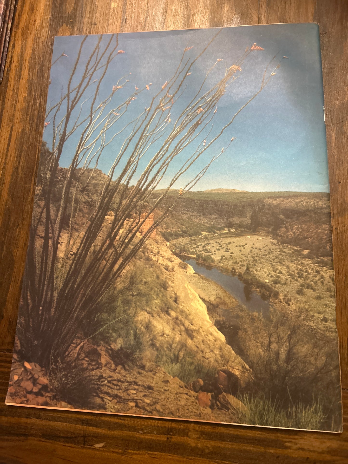 Vintage Arizona Highways November 1953