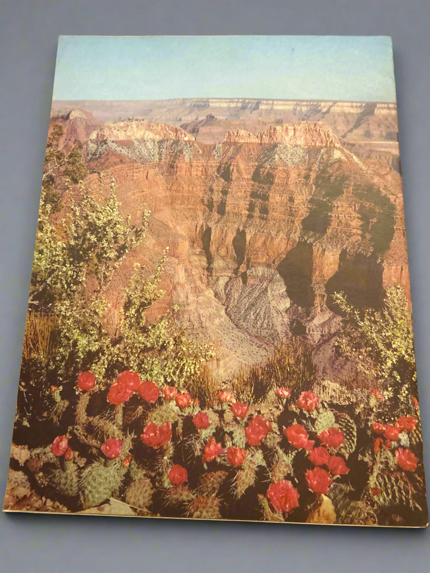 Vintage Arizona Highways March 1954