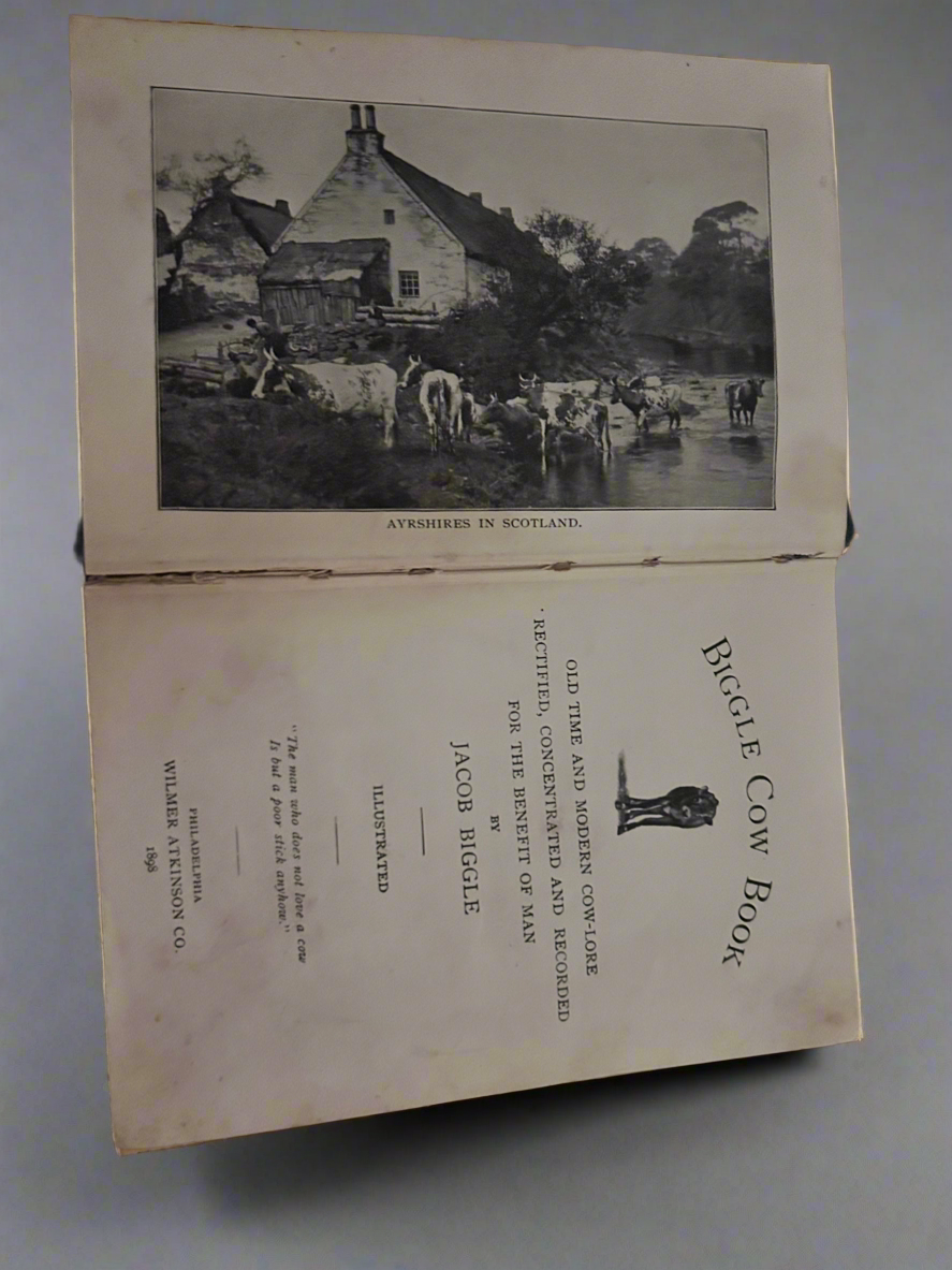 Biggle Cow Book