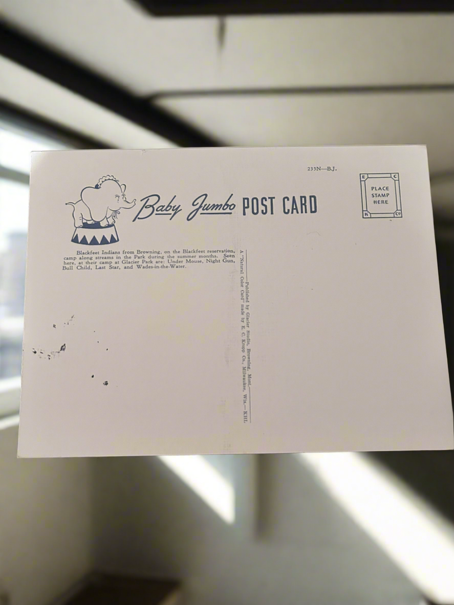 Vintage Indian Chief Postcard