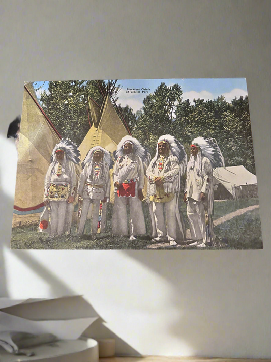 Vintage Indian Chief Postcard