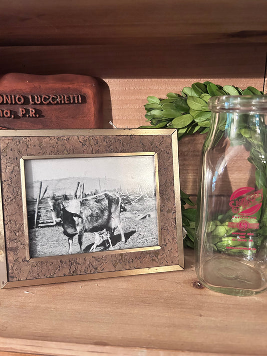 Vintage Framed cow nursing fawn